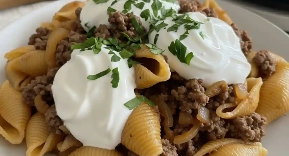 Spiced beef onions over pasta with yogurt.